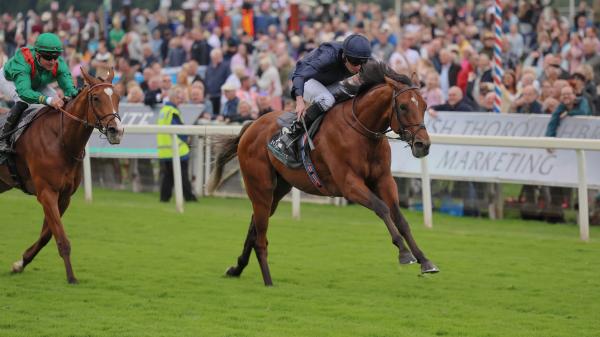 2024 Breeders' Cup Classic Shaping Up as True International